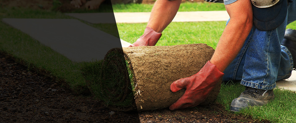 West Haven Landscapers